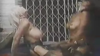 Descascar sensual vídeo de mulher fazendo sexo oral estudante de matemática