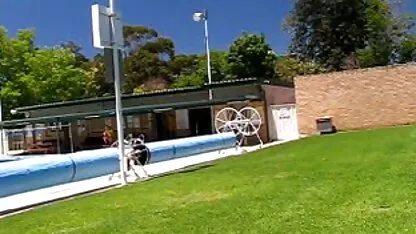 a beleza video sexo oral homem e mulher do sexo